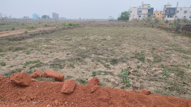 Additional image 2 of Botanda, Bhubaneswar