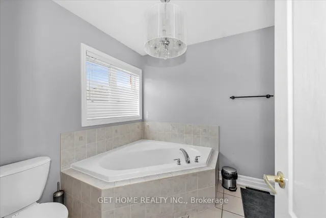 Additional image 23 of 54 Iceland Poppy Tr