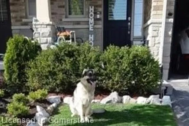 Additional image 43 of 10 Pumpkin Pass Unit 24