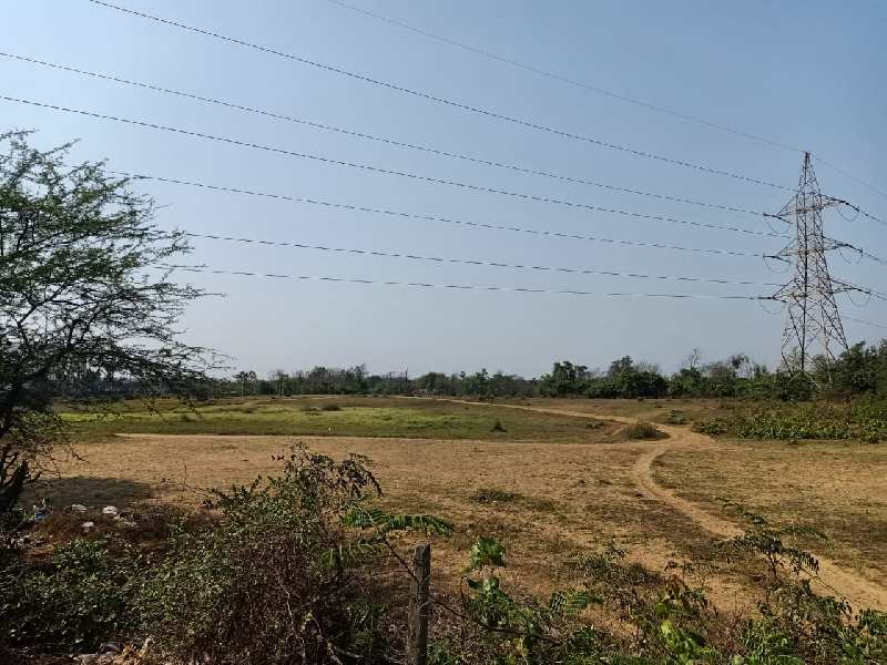 Primary image of Savli, Vadodara