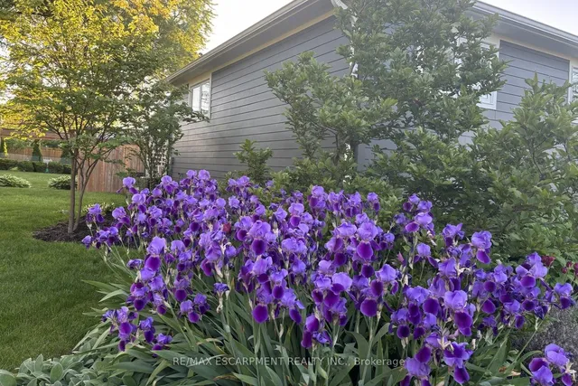 Additional image 45 of 625 Ardleigh Cres