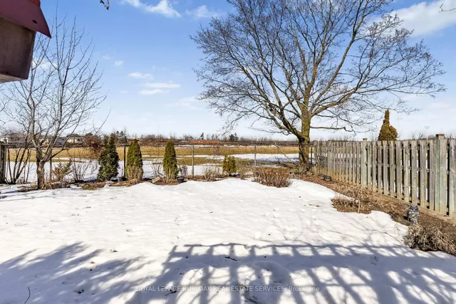 Additional image 37 of 3361 Palmer Dr