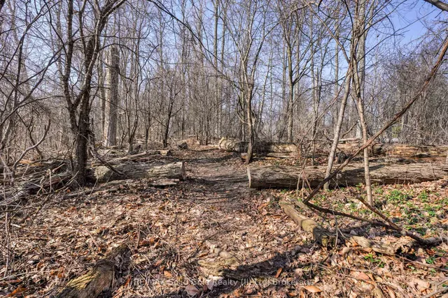 Additional image 39 of 33 Stanmore Ave