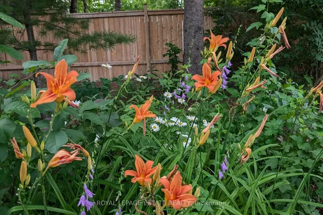 Additional image 43 of 20 Trudy Rd