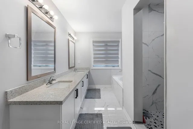 Additional image 24 of 84 Iceland Poppy Tr