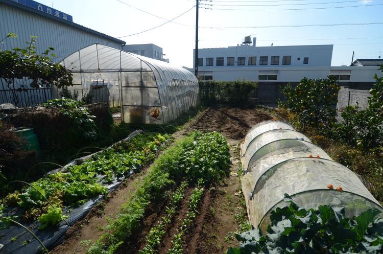 Additional image 16 of Higashiiwasaki, Togane City, Chiba Prefecture
