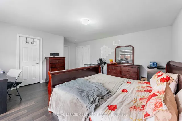 Additional image 23 of 84 Iceland Poppy Tr