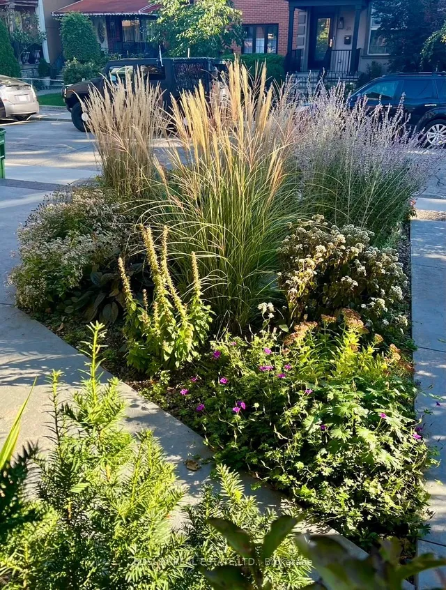 Additional image 45 of 32 Melville Ave