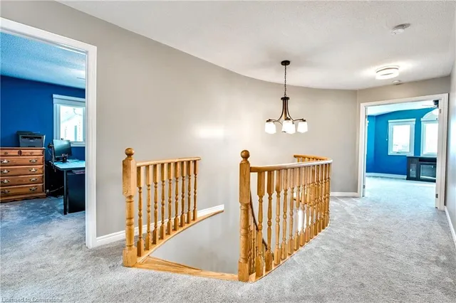 Additional image 18 of 5 Chatsworth Cres