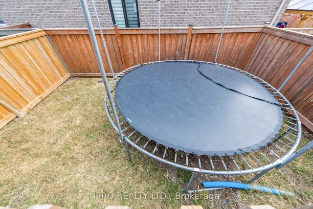 Additional image 50 of 1187 Raspberry Terr