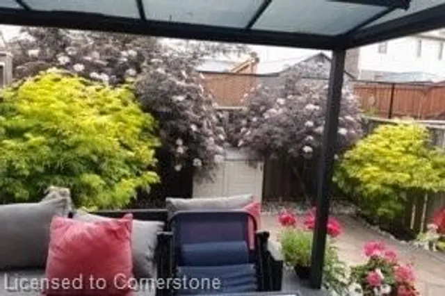 Additional image 41 of 10 Pumpkin Pass Unit 24