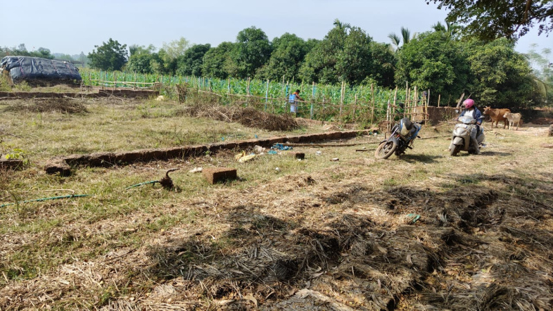 Additional image 2 of Panchagaon, Bhubaneswar