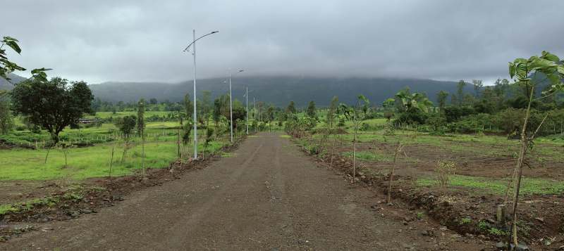 Additional image 2 of Trimbakeshwar, Nashik