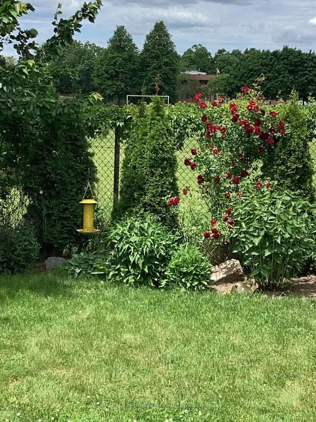 Additional image 39 of 3361 Palmer Dr