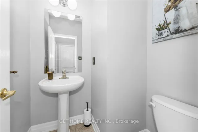 Additional image 12 of 54 Iceland Poppy Tr