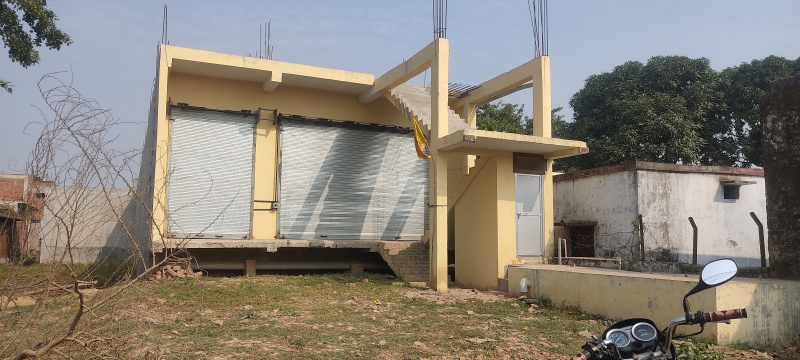 Primary image of Nausad, Gorakhpur