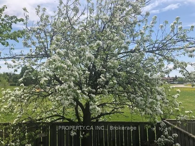 Additional image 29 of 35 Combermere Dr