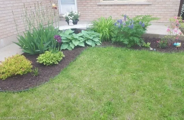 Additional image 4 of 11 Pecan Crt