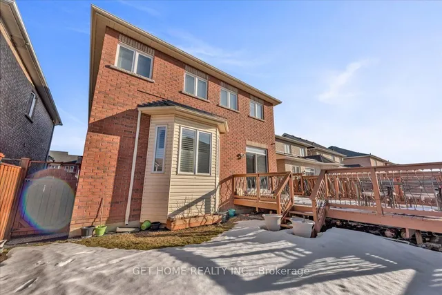 Additional image 39 of 54 Iceland Poppy Tr