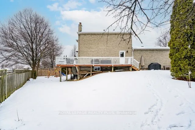 Additional image 38 of 31 Serafino Crt