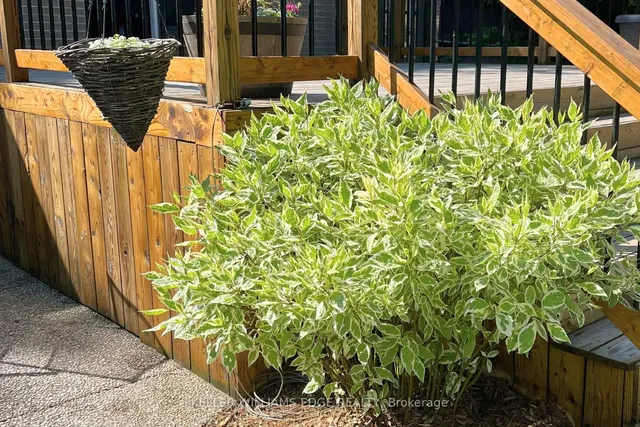 Additional image 32 of 635 Inverness Ave