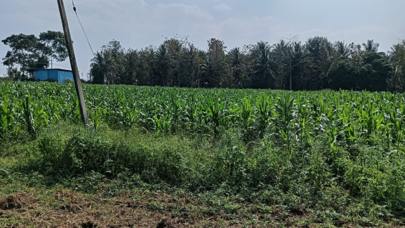 Additional image 3 of Heggadadevana kote, Mysore