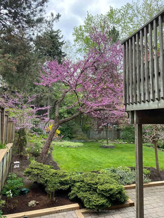 Additional image 42 of 2 Ivor Rd