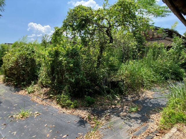 Additional image 14 of Sumiyoshi, Aira City, Kagoshima Prefecture