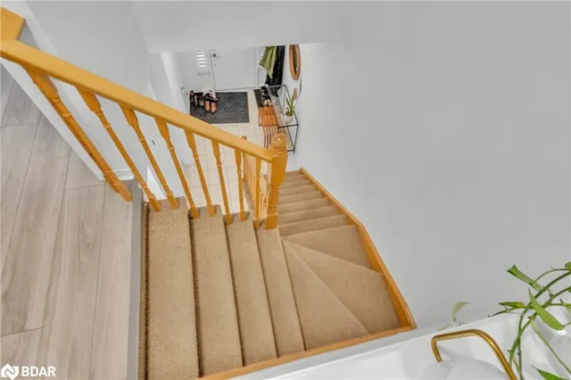 Additional image 45 of 80 Palacebeach Trail