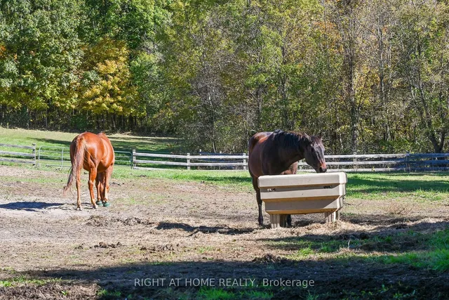 Additional image 5 of 1396 Progreston Rd