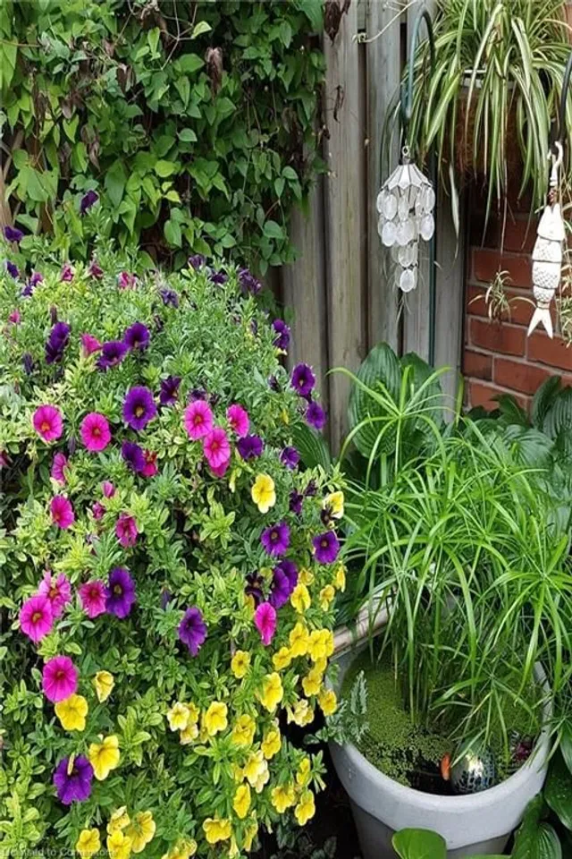 Additional image 49 of 88 Pirie Dr Unit 3