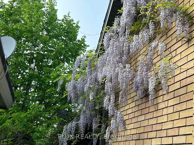 Additional image 50 of 36 Perkell Pl