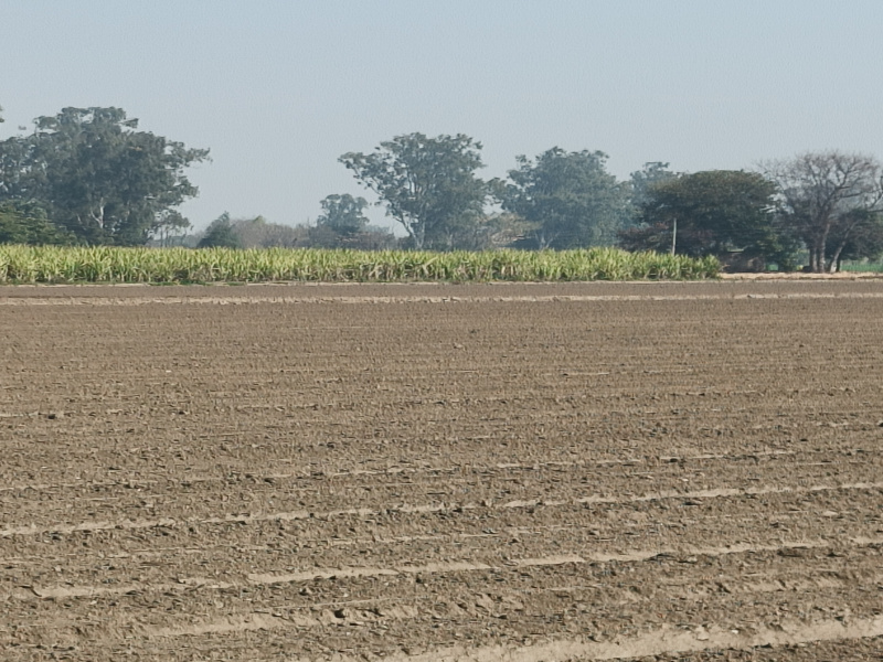 Additional image 2 of G. T. Road, Ludhiana