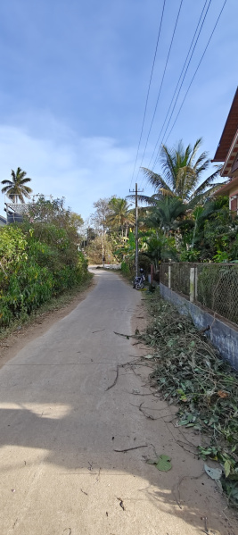 Additional image 3 of Coorg, Mysore