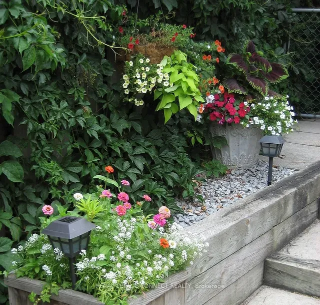 Additional image 42 of 3 Mcculley St