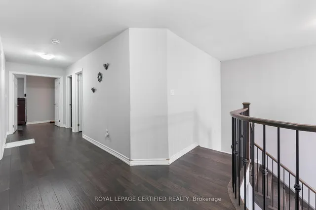 Additional image 14 of 84 Iceland Poppy Tr