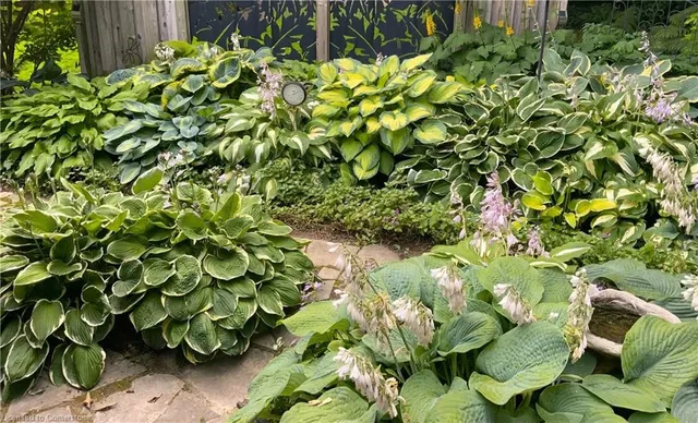 Additional image 40 of 173 Ripplewood Cres