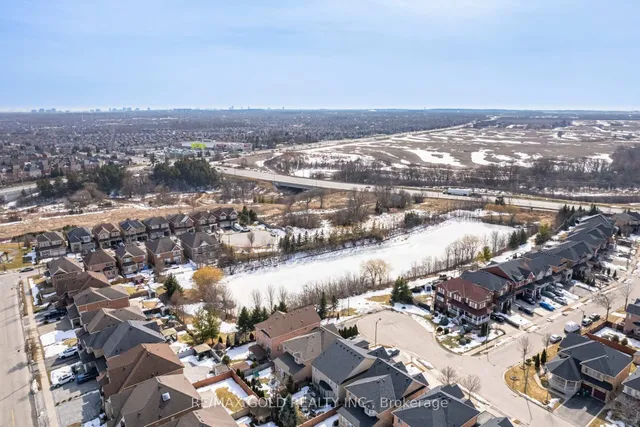 Additional image 47 of 41 Cultivar Rd