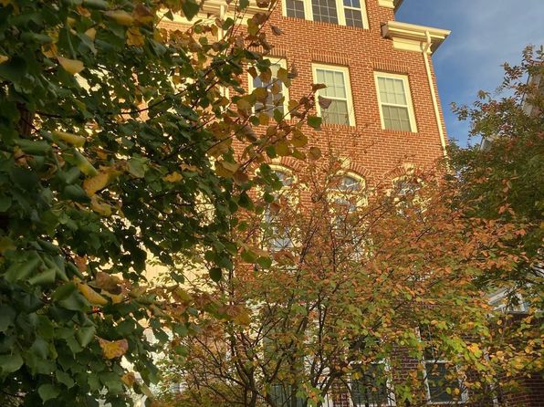 805 N Woodrow St, Arlington, VA 22203