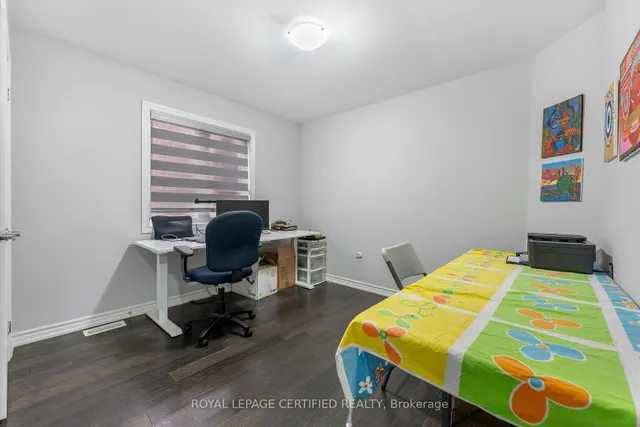 Additional image 21 of 84 Iceland Poppy Tr