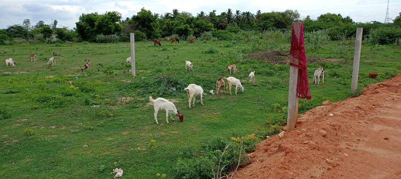 Additional image 3 of Villianur, Pondicherry