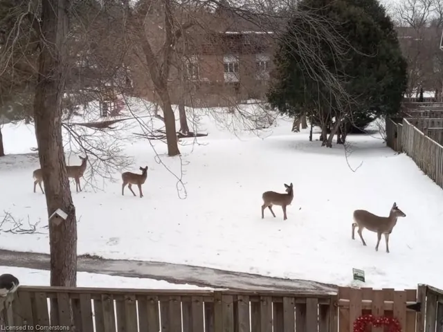 Additional image 32 of 9 Trudy Crt