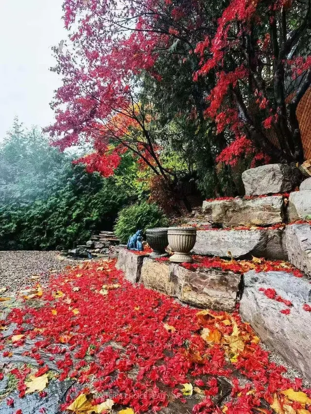 Additional image 16 of 173 Cottonwood Dr