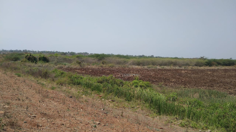 Additional image 2 of Nanjangud, Mysore