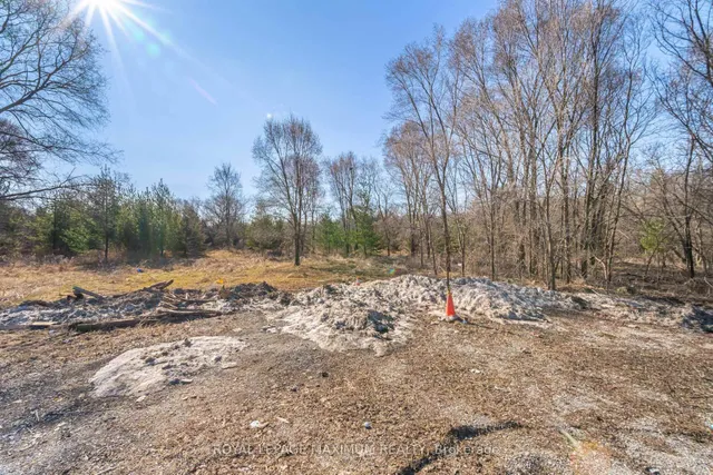 Additional image 22 of 255 Albion Rd