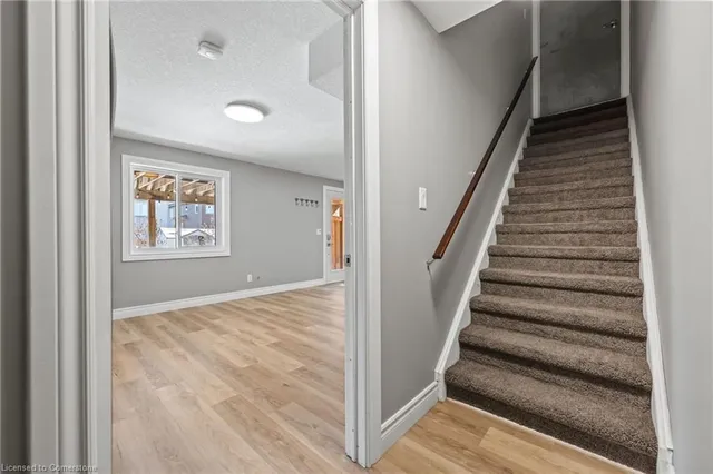 Additional image 19 of 561 Thomas Slee Dr