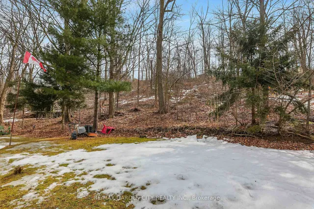 Additional image 21 of 122 Pine Dr