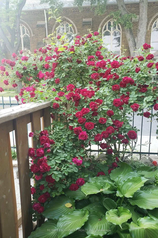 Additional image 45 of 444 Maple Ave