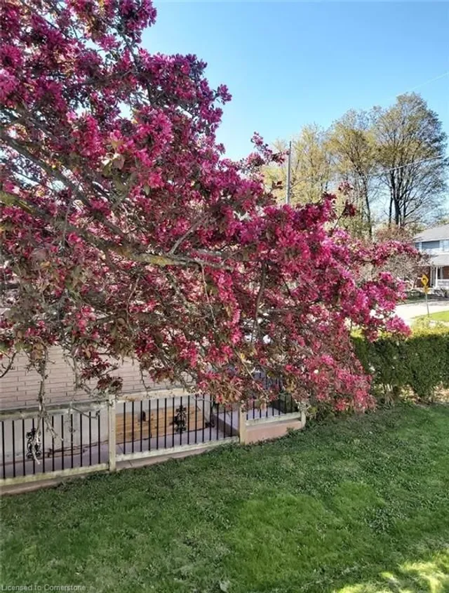 Additional image 45 of 1275 Ottawa St