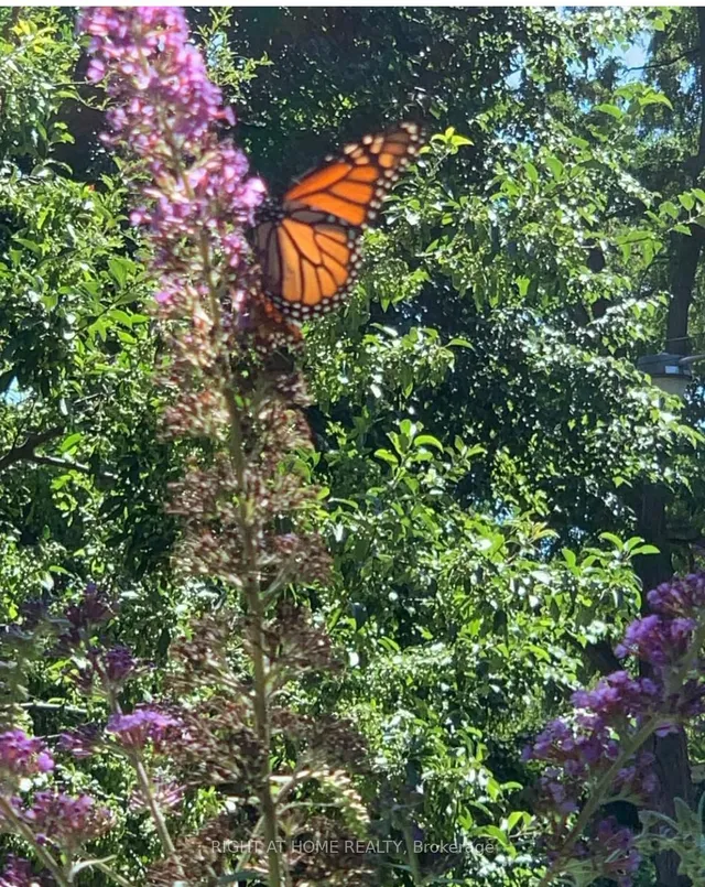 Additional image 43 of 61 Woburn Ave